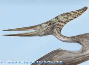 pteranodon